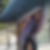 Profilbild von Birgit Schevel