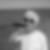Profilbild von Franz Josef Trelle