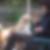 Profilbild von Doris Pawlowski 