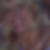 Profilbild von Katharina Nowak