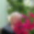 Profilbild von Gabriele Martin-Meineke