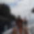 Profilbild von Anke Pawlack