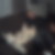 Profilbild von Reemt Kruse