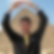 Profilbild von Norbert Weimer