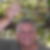 Profilbild von Volker Jäger