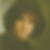 Profilbild von Roswitha Bender