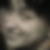 Profilbild von Ines Wächtler