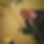 Profilbild von Bastian Behm