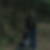 Profilbild von Ines Föhre