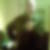 Profilbild von Manfred Blumentrath