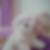 Profilbild von Birgit Wittmaack