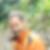 Profilbild von Christian Schultz