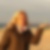 Profilbild von Steffi Schrader