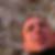 Profilbild von Matthias Mosig
