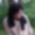 Profilbild von Filiz Akdemir