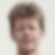Profilbild von Rolf Peterknecht