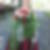 Profilbild von Ivonne Schenkel-Viol