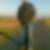 Profilbild von Alexander Busack