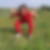 Profilbild von Ligia Reschke