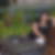 Profilbild von Nicole Dressler
