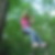 Profilbild von Michaela Ebnet