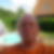 Profilbild von Torsten Flohr