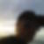 Profilbild von Daniel Carl