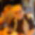 Profilbild von Manfred Jahnke
