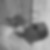 Profilbild von Ingo Brauser