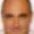 Profilbild von Peter Lengler