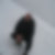 Profilbild von Andreas Steinau