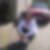 Profilbild von Jenny Bansemer