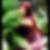 Profilbild von Doreen Coppeneur,