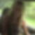 Profilbild von Anja Lienhardt