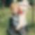 Profilbild von Mathias Anderson