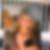 Profilbild von Michaela Pissarrek