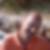 Profilbild von Mario Höfer