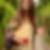 Profilbild von Yasmin Jandali
