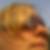 Profilbild von Daniela Witt