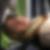Profilbild von Nevin Kaya