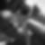 Profilbild von Susann Wacker