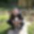 Profilbild von Steven Seinig