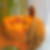 Profilbild von Thomas Magin