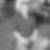 Profilbild von Perry Pilz