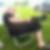 Profilbild von Thomas Petersen
