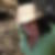Profilbild von Anja Markus