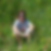 Profilbild von Conny Rolle