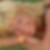 Profilbild von Manuela Kommer