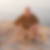 Profilbild von Christian Lier