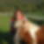 Profilbild von Sigrid Nicol